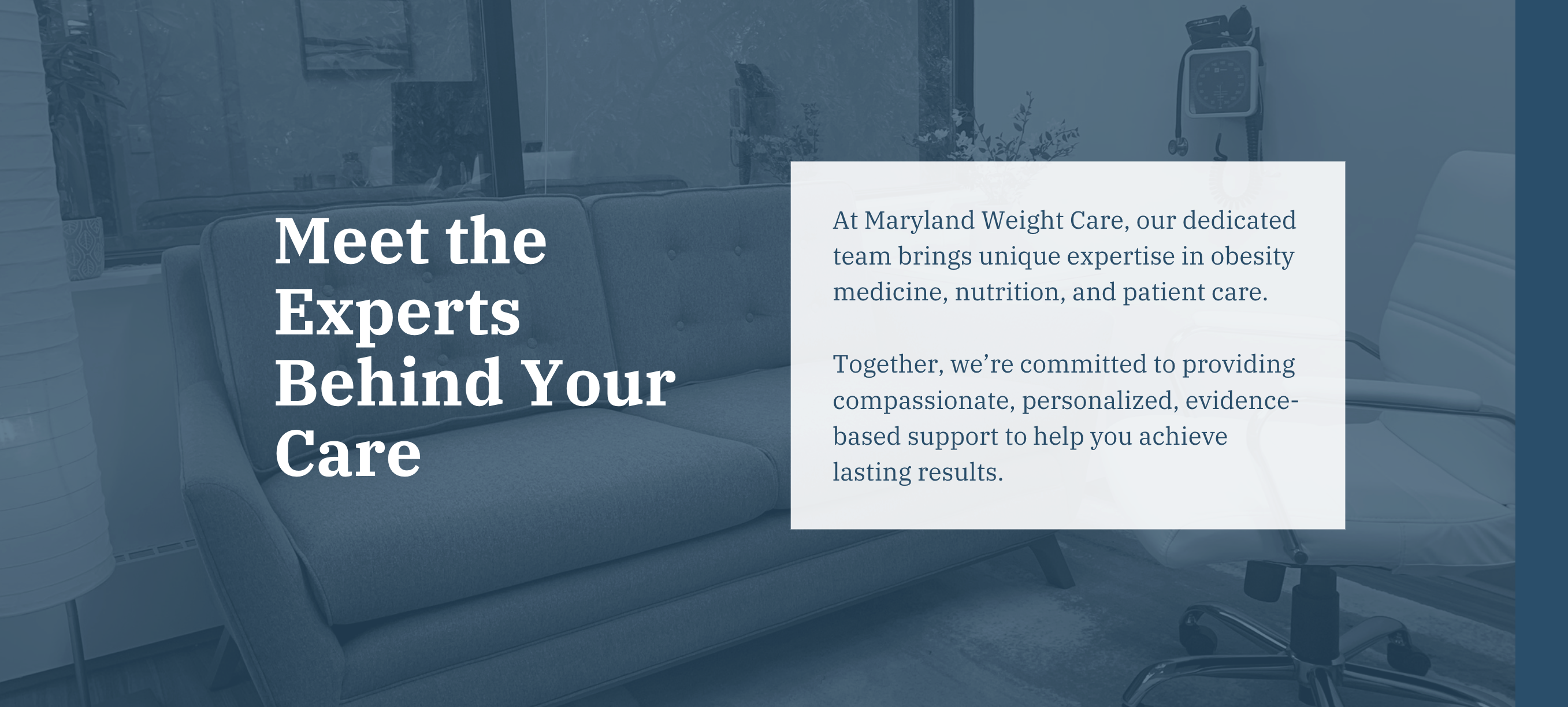 Meet the Team Header